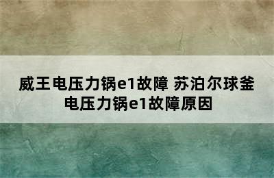 威王电压力锅e1故障 苏泊尔球釜电压力锅e1故障原因